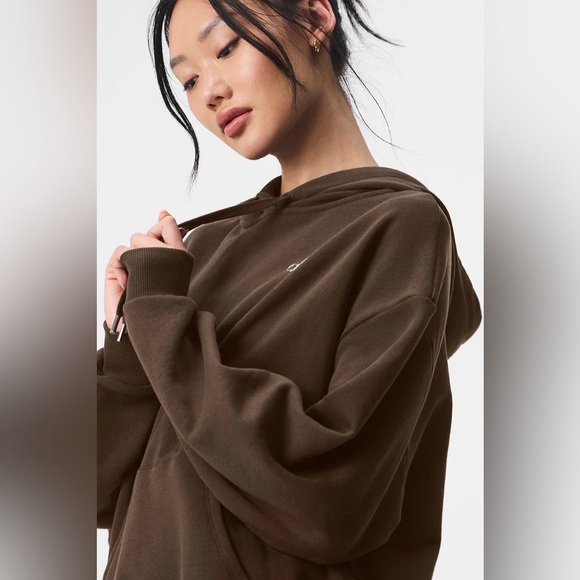 NWT Alo Accolade Hoodie in Espresso - Picture 5 of 6